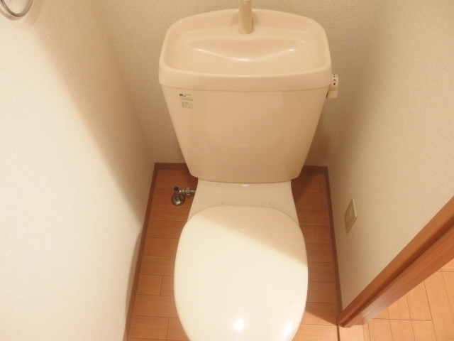 シャルル大宗のトイレ