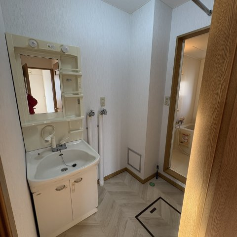 アドヴァンス東和Ⅱの洗面所