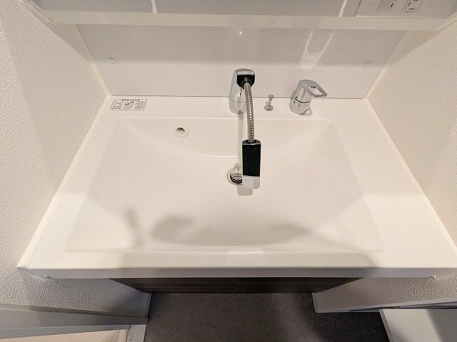S-RESIDENCE ASAKUSA ディバースの設備|ハンドシャワー付独立洗面台です