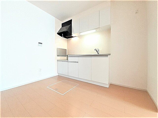 グッドラックフィールド１番館のキッチン|キッチンです