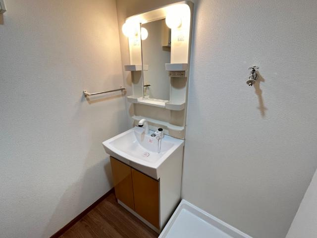 サザンハイムＫの洗面所|洗髪洗面化粧台