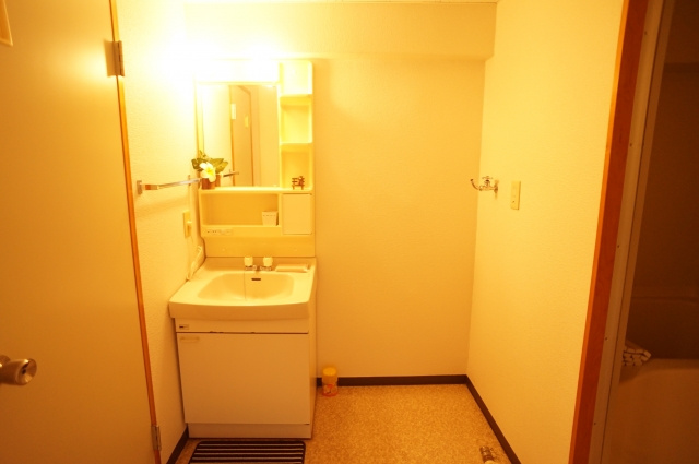 小泉ハイムの独立洗面台