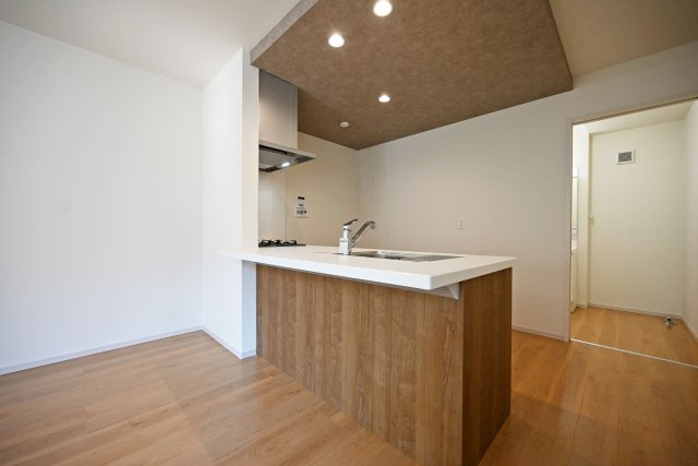 テラシエ浜田町2丁目新築一戸建て│4LDK+駐車1台可のキッチン|キッチン上部は折下天井を採用でデザイン性を向上させています。ダウンライトを4基採用し、作業性を確保。