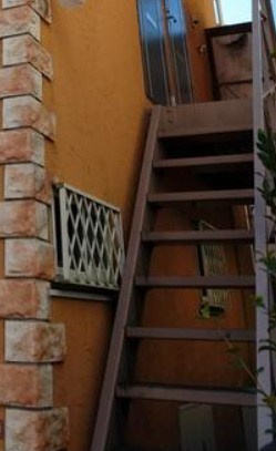 カモミールの外観