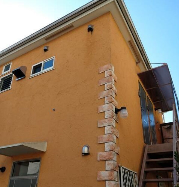 カモミールの外観