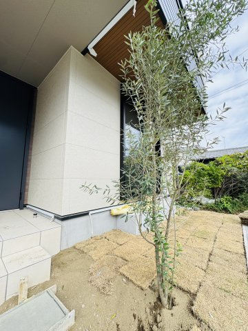 The Skip-Floor Residence – ／辻堂元町 –の庭