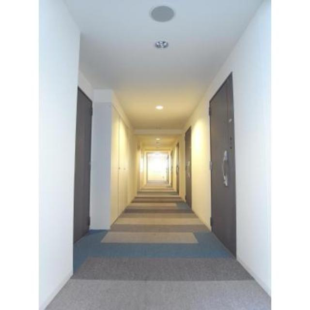 ＰＯＲＴＯ　ＰＡＲＴＩＲＥ　ＹＯＫＯＨＡＭＡのその他