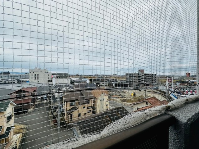 コンタントアモーレの展望