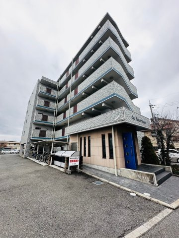 コンタントアモーレ