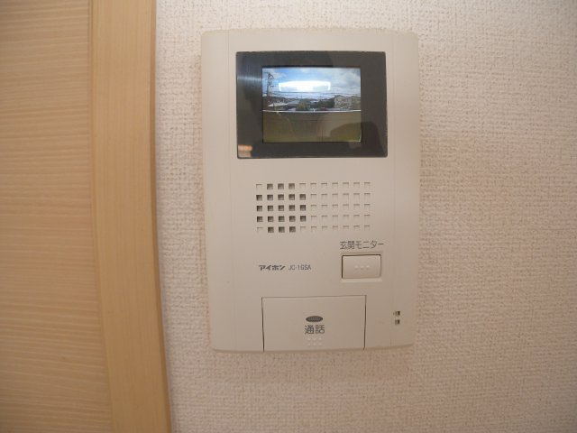 グリーン・ローズのセキュリティ