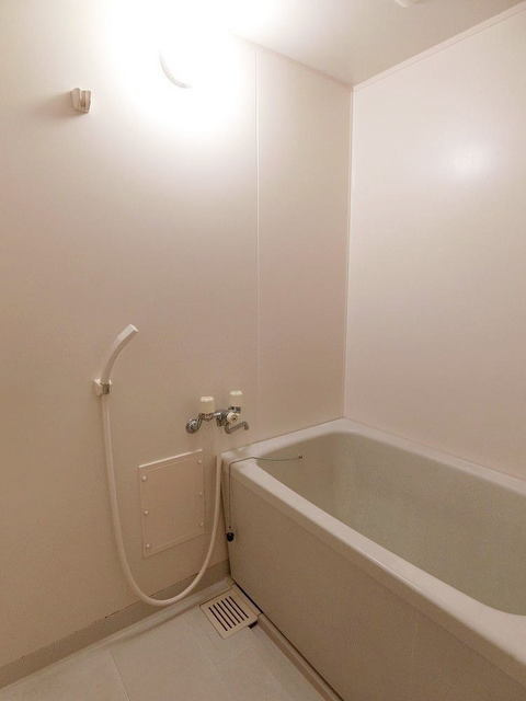 ドミール加佐の浴室