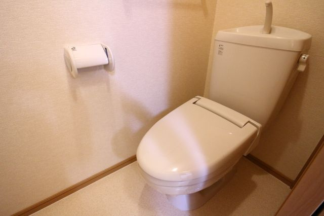 パストラルメゾンB棟のトイレ