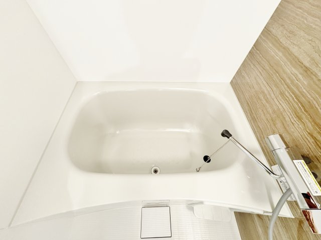 ディアレイシャス西武柳沢の浴室