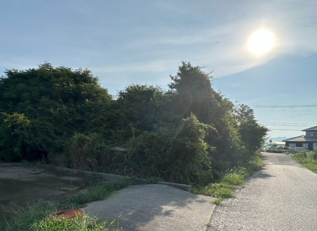 南あわじ市八木鳥井土地の外観|現地写真②
