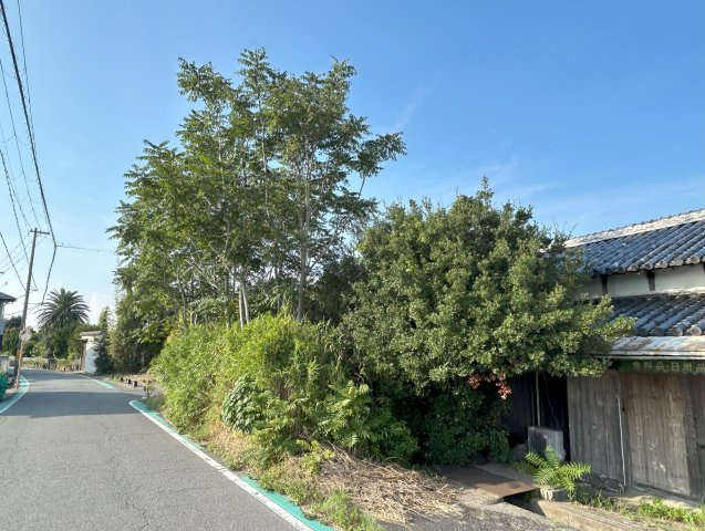 南あわじ市八木鳥井土地の周辺|現地写真③