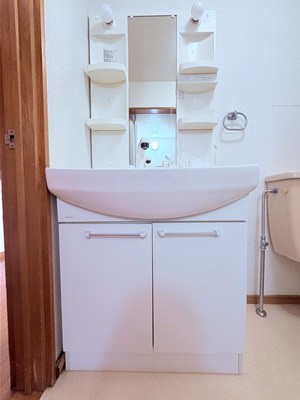 サンヒルズYの独立洗面台