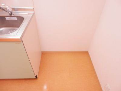 Belle Lead六条（ベルリード六条）のその他|冷蔵庫置場