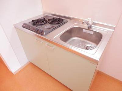 Belle Lead六条（ベルリード六条）のキッチン|キッチン