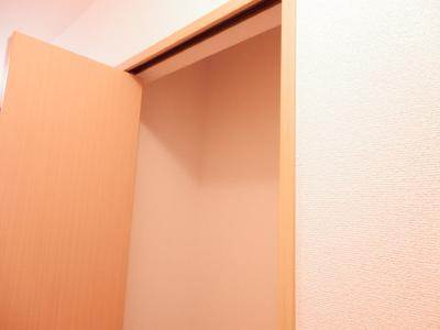 Belle Lead六条（ベルリード六条）の内装|玄関収納上部