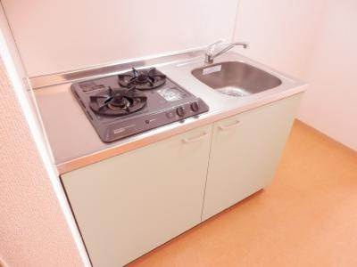 Belle Lead六条（ベルリード六条）のキッチン|システムキッチン