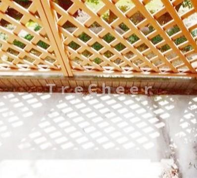 【バルコニー】 | リンデンハイム豪徳寺