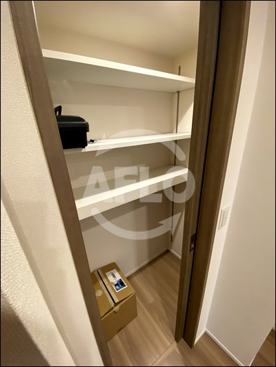 ブランズタワー・ウェリス心斎橋NORTHの収納|ブランズタワー・ウェリス心斎橋NORTH　ウォークインクローゼット