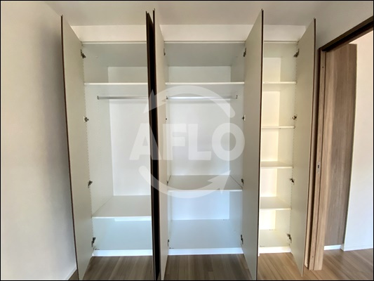 ブランズタワー・ウェリス心斎橋NORTHの収納|ブランズタワー・ウェリス心斎橋NORTH　クローゼット