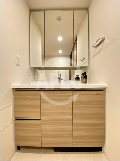 ブランズタワー・ウェリス心斎橋NORTHの独立洗面台|ブランズタワー・ウェリス心斎橋NORTH　独立洗面台