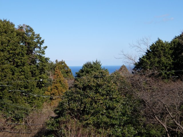 東伊豆町　大川温水会の展望