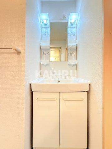 トレーデの洗面所