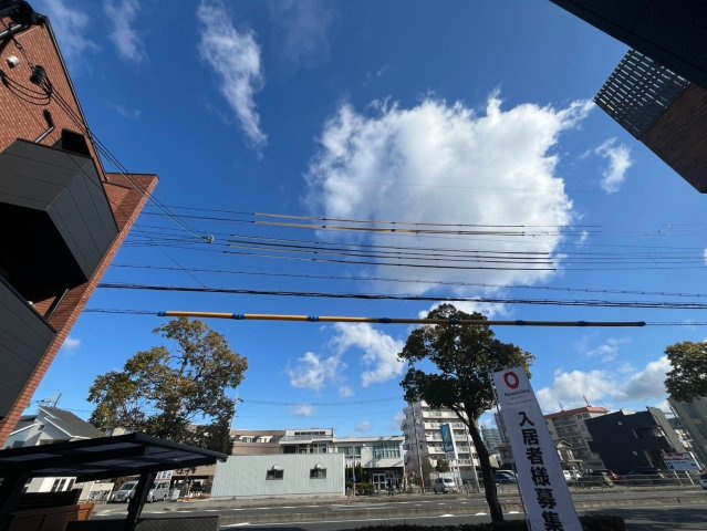 ハレレアの展望