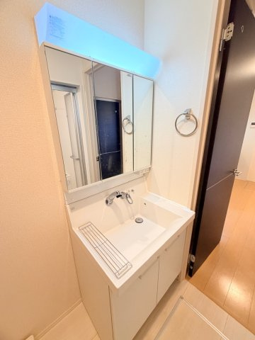 ソフィアルミエールⅡの洗面所