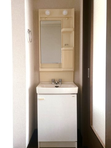 シティハイムロゼリーヌⅡの独立洗面台