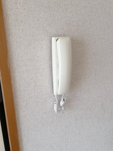 シティハイムロゼリーヌⅡのセキュリティ