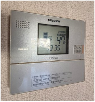 リーフデのその他
