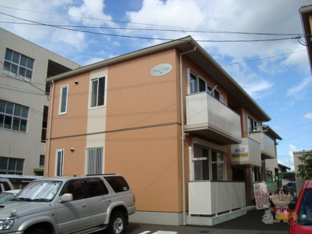 ピュアライフ　Ａ