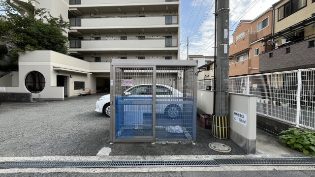 プランタン・コウのその他