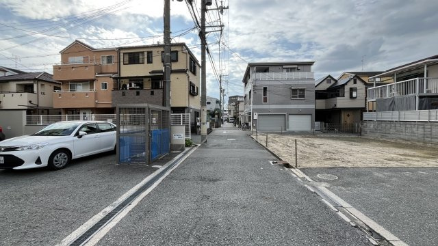 プランタン・コウのその他