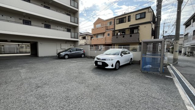 プランタン・コウのその他