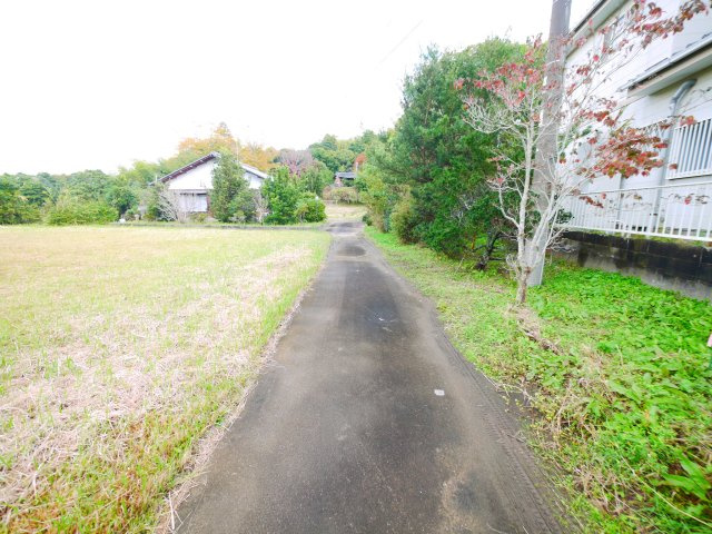 茂原市本納　平家中古戸建の前面道路含む現地写真|敷地約778坪お庭でドックランやバーベキューが可能です５LDK平家一部農地畑あり自然豊かな閑静な立地