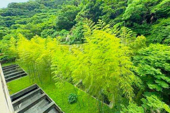 水明荘の展望|みどりが多く空気もおいしそう