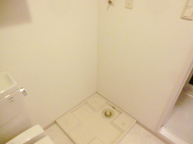 ＴＨＥパームス新小岩のその他|脱衣スペースに室内洗濯置き場完備！