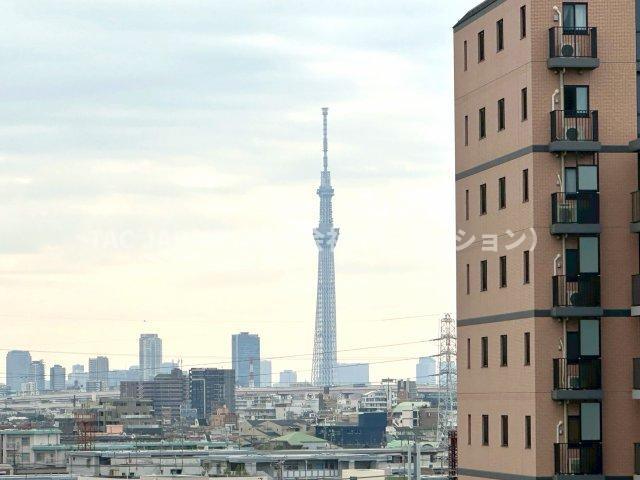 ルイシャトレ綾瀬の展望