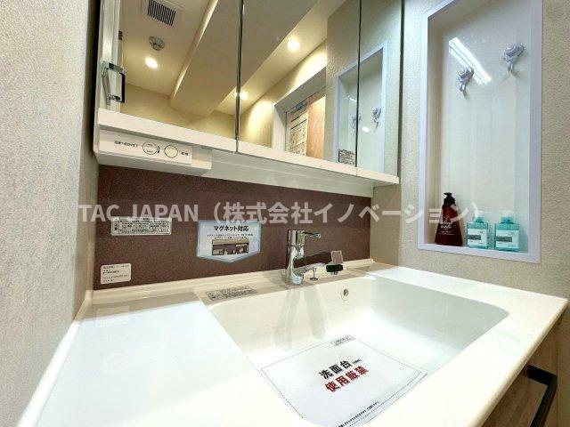 ルイシャトレ綾瀬の洗面所