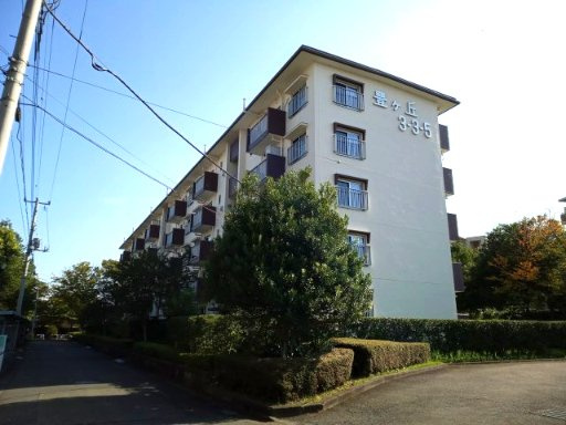 豊ヶ丘団地3-3-5号棟の画像