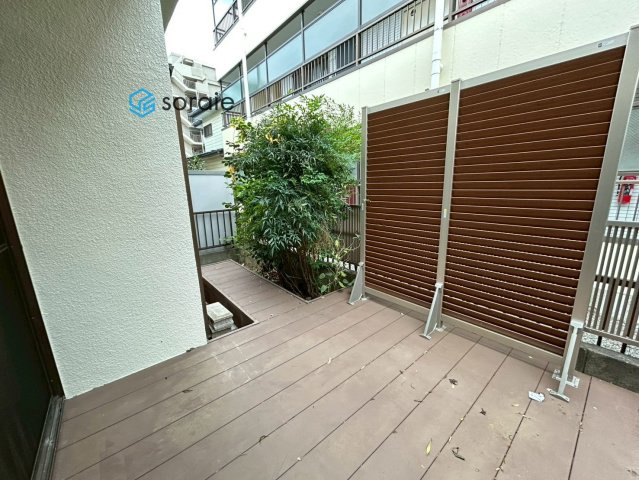 所沢市けやき台　中古戸建の庭|令和7年11月13日撮影。