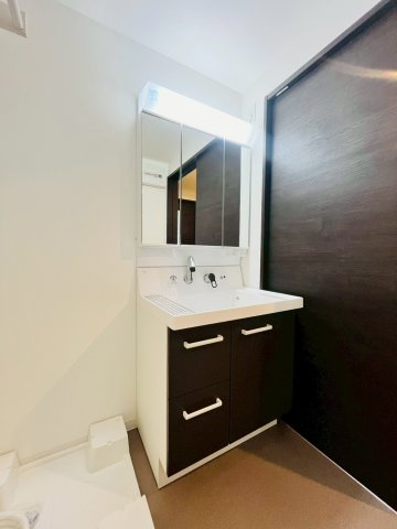 グレイス天野の洗面所