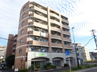 Ｋ・ブローテ・柏の葉Ａの画像