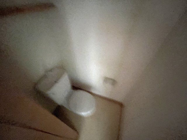 メゾン・ド・ベルCのトイレ