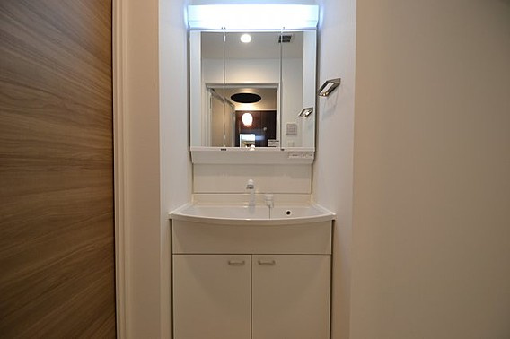 プラネソシエ神戸元町の洗面所